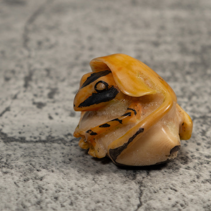 Gold And Black Poison Dart Frog Under Leaf Tagua Carving