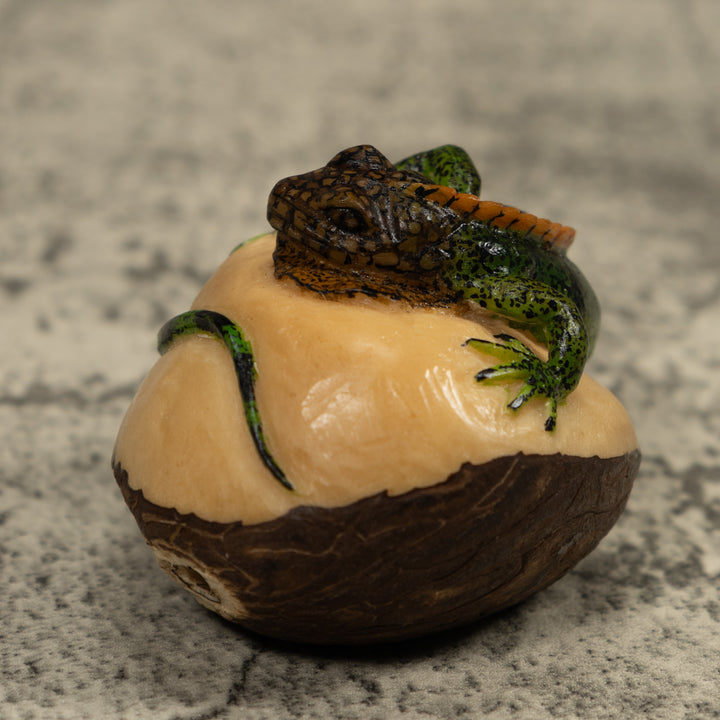 Iguana Lizard Reptile Tagua Carving