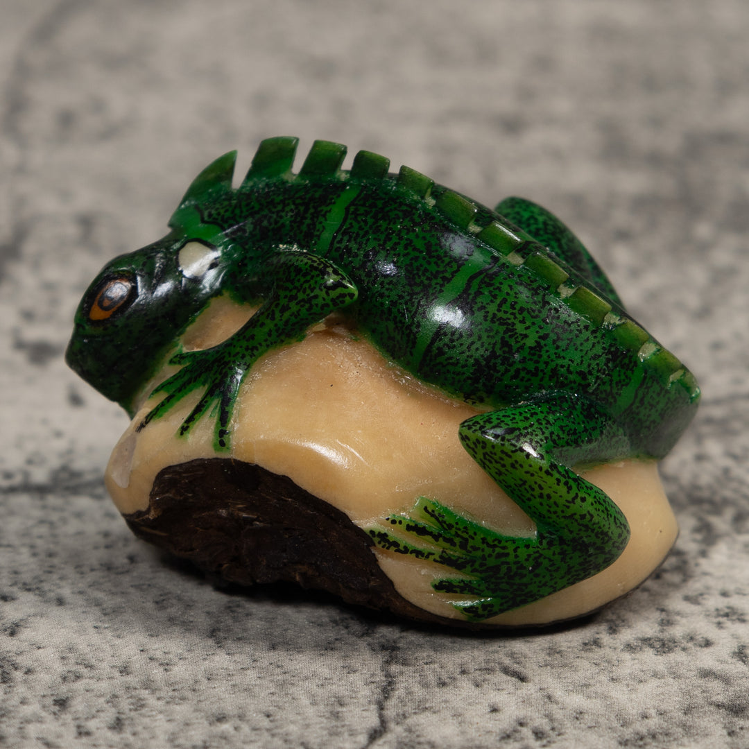 Green Iguana Lizard Iguana Tagua Carving