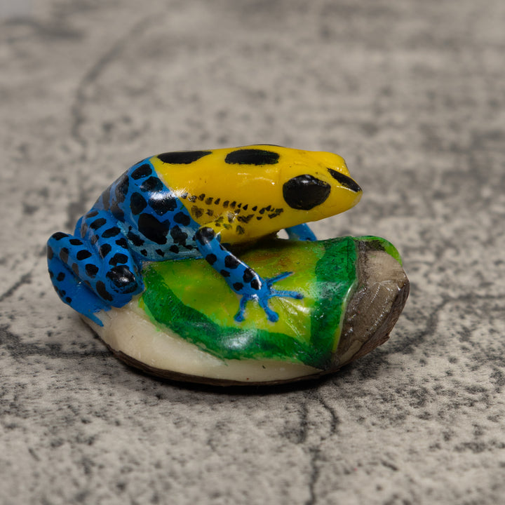 Poison Dart Frog Tagua Carving