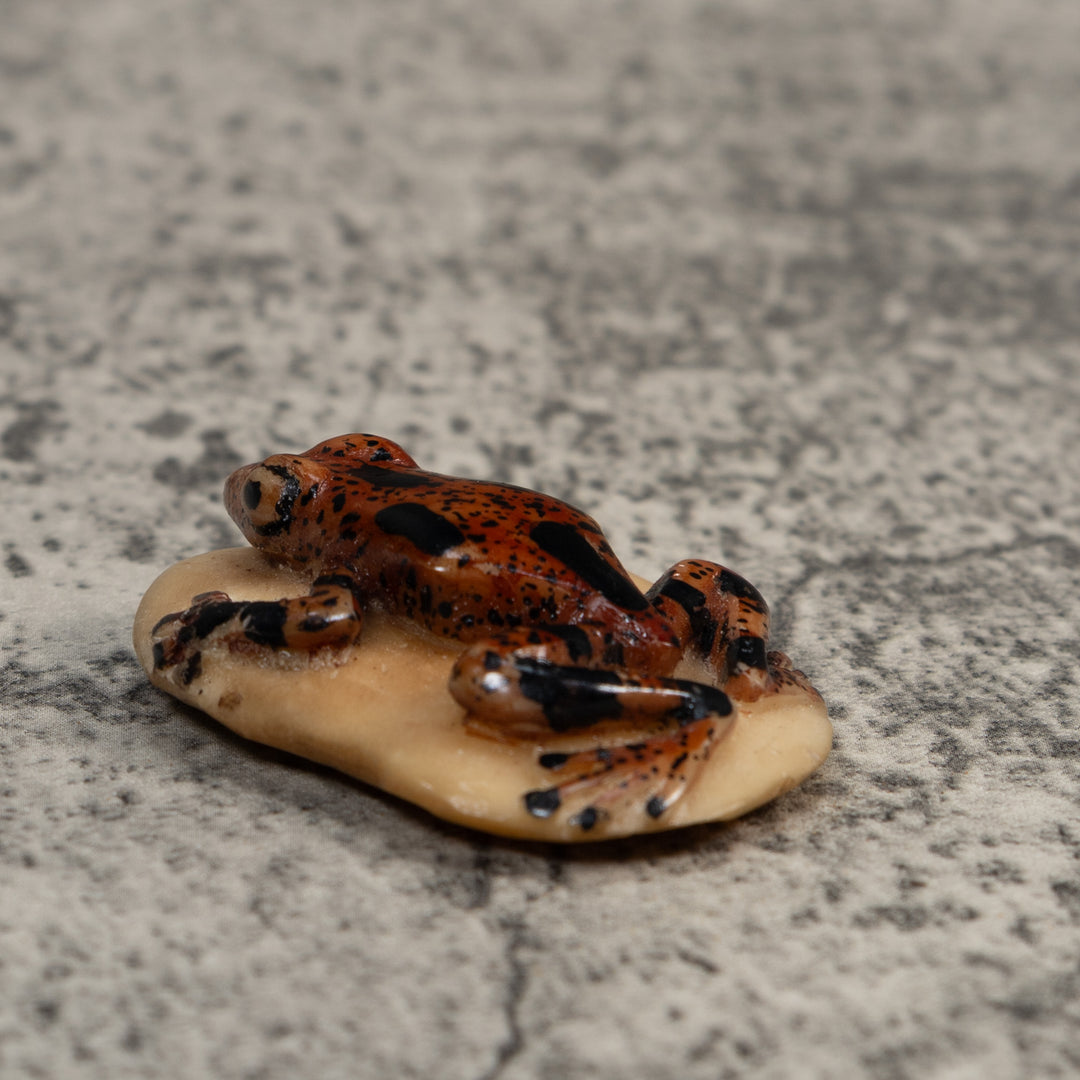 Vintage Brown And Black Poison Dart Frog Tagua Carving