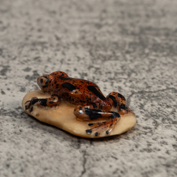 Vintage Brown And Black Poison Dart Frog Tagua Carving