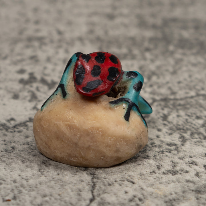 Vintage Blue Red And Black Frog Tagua Carving