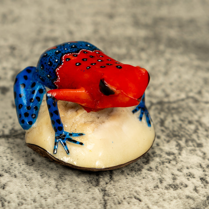Red And Blue Poison Dart Frog Tagua Carving