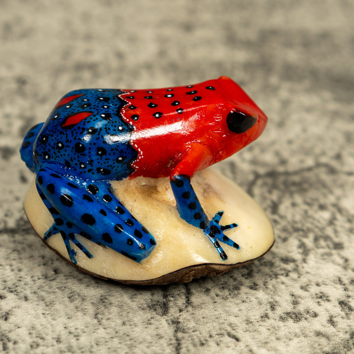 Red And Blue Poison Dart Frog Tagua Carving