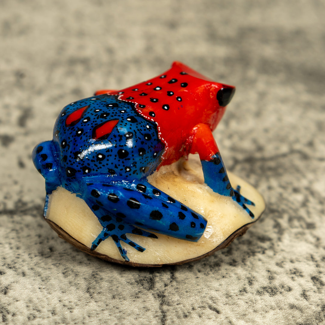 Red And Blue Poison Dart Frog Tagua Carving