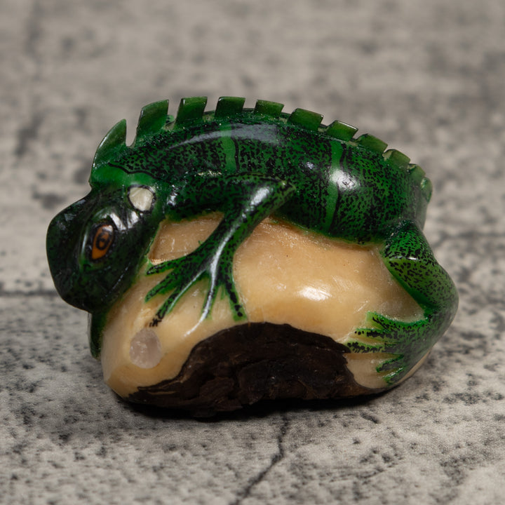 Green Iguana Lizard Iguana Tagua Carving