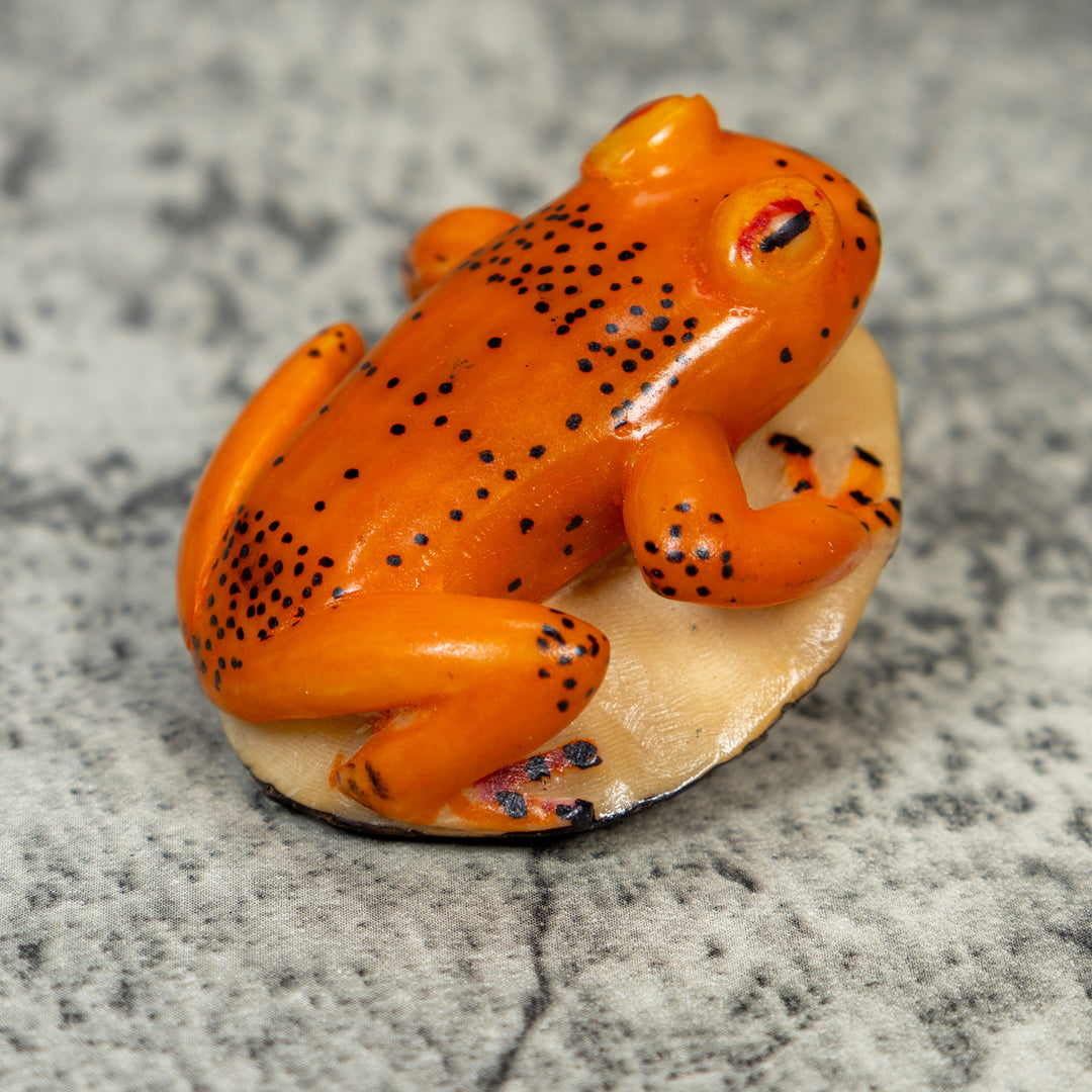 Orange And Black Frog Tagua Carving