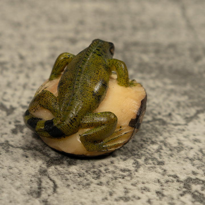 Vintage Iguana Lizard Reptile Tagua Carving