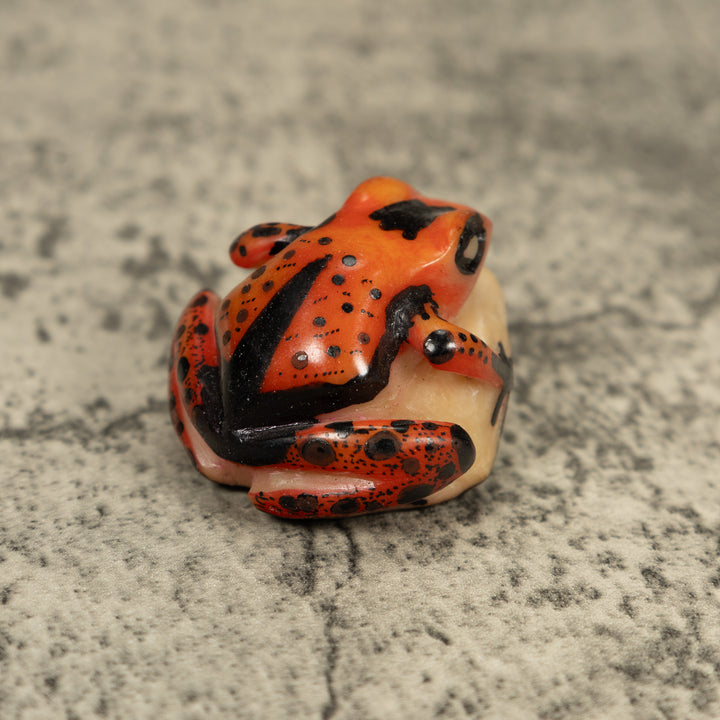 Vintage Orange And Black Poison Dart Frog Tagua Carving
