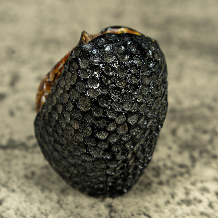 Bright Eye Owl Bird Tagua Carving