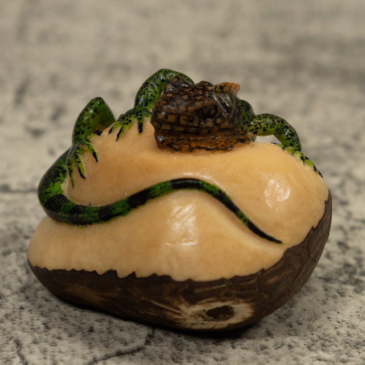 Iguana Lizard Reptile Tagua Carving