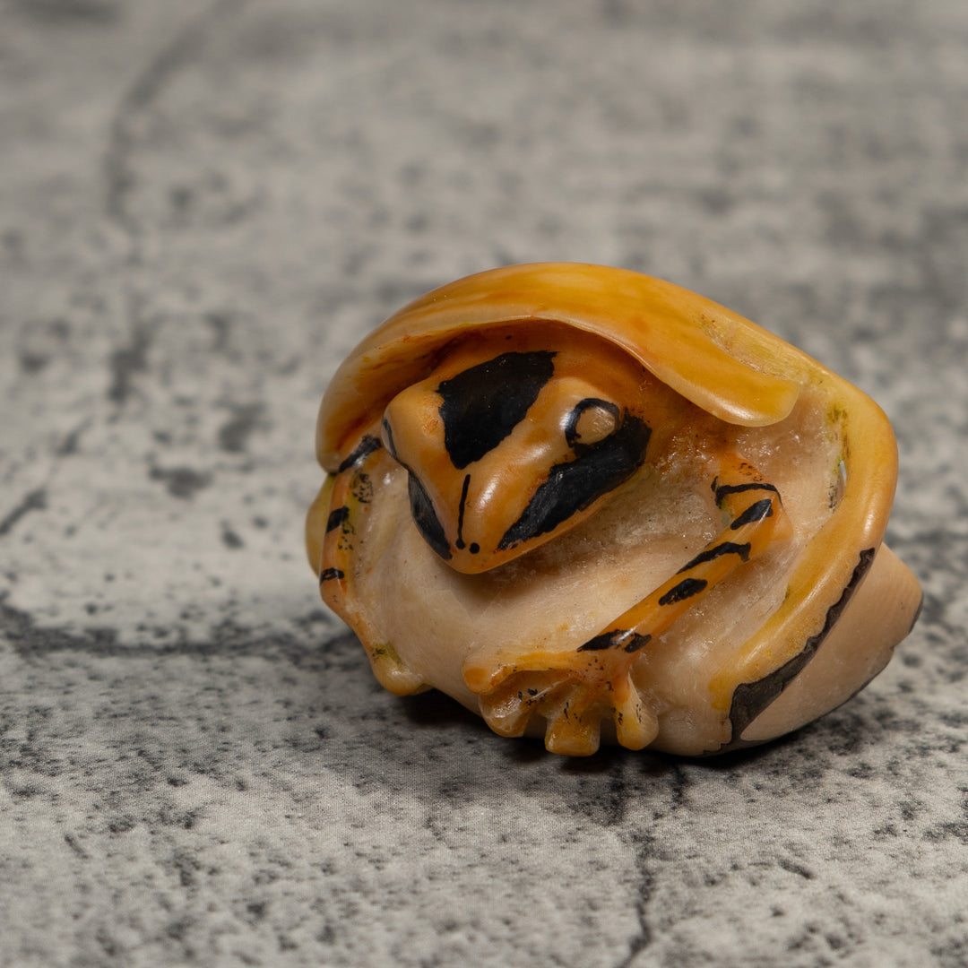 Gold And Black Poison Dart Frog Under Leaf Tagua Carving