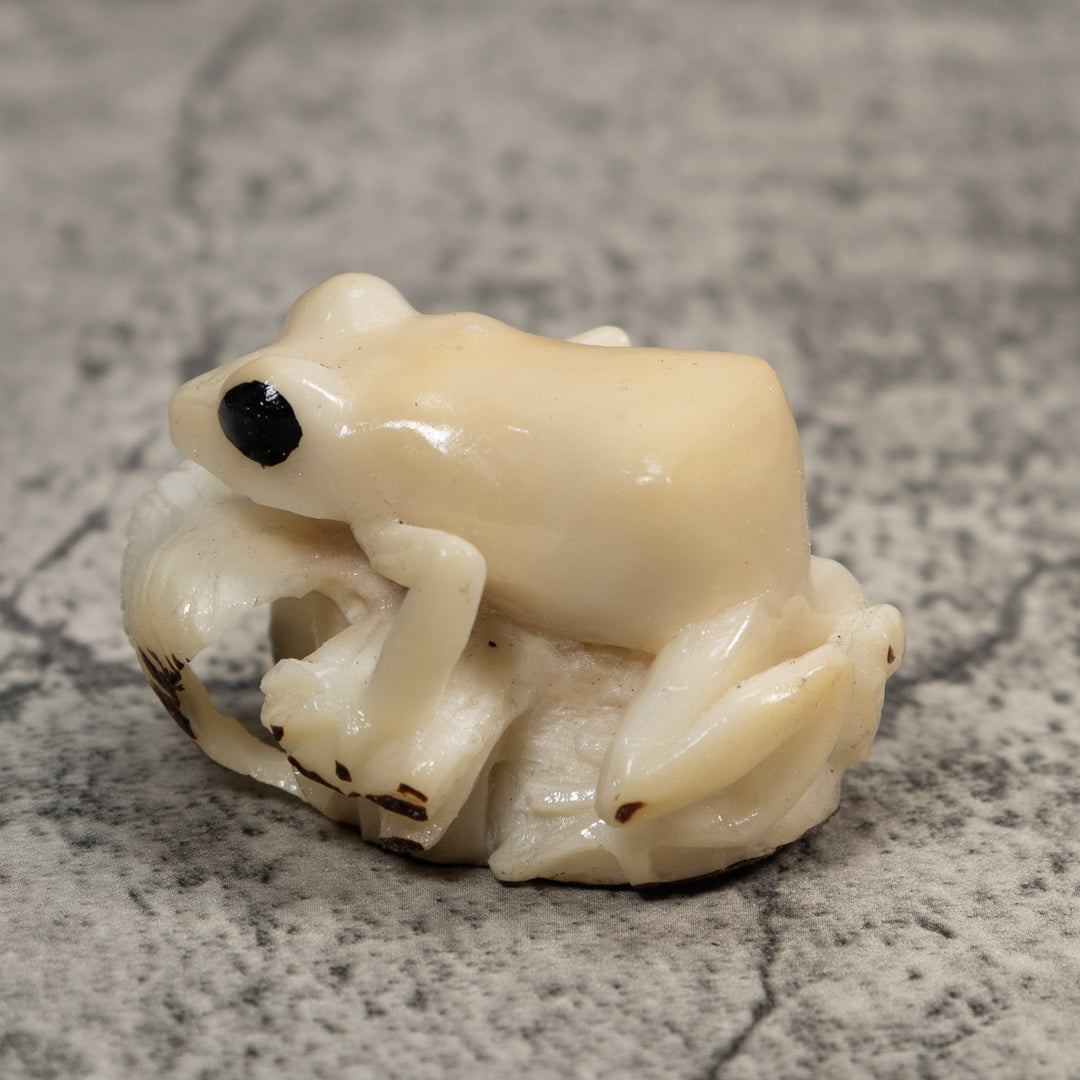 White Natural Frog Tagua Carving