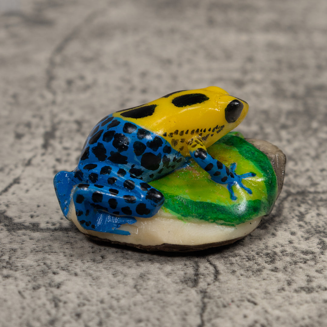 Poison Dart Frog Tagua Carving
