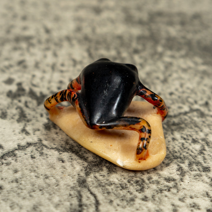 Vintage Gold And Black Frog Tagua Carving