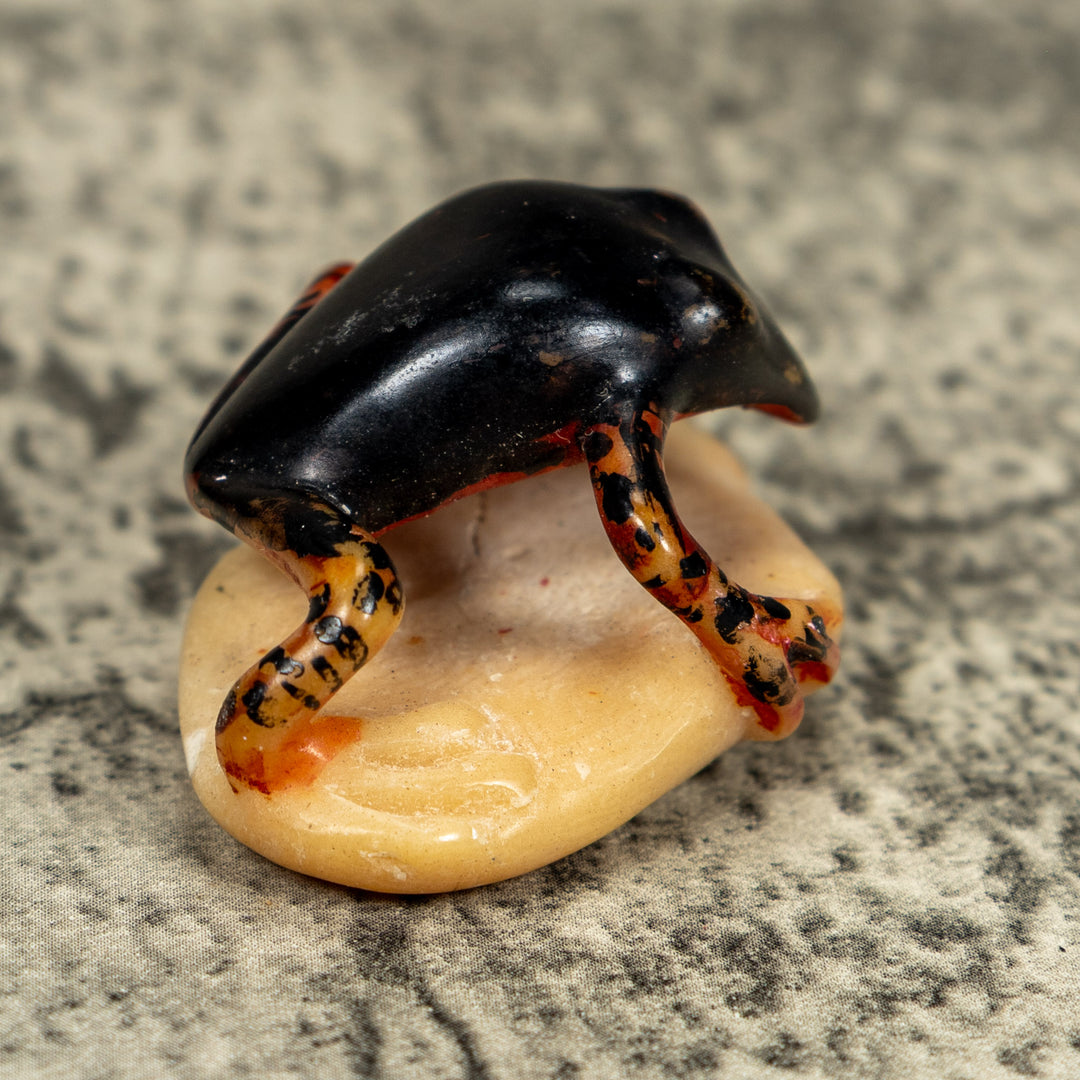 Vintage Gold And Black Frog Tagua Carving