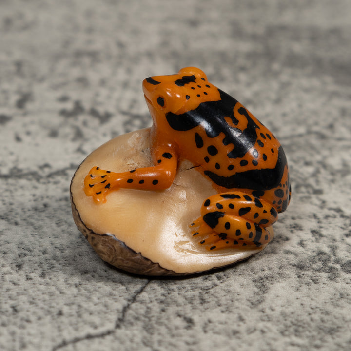 Black And Gold Poison Dart Frog Tagua Carving