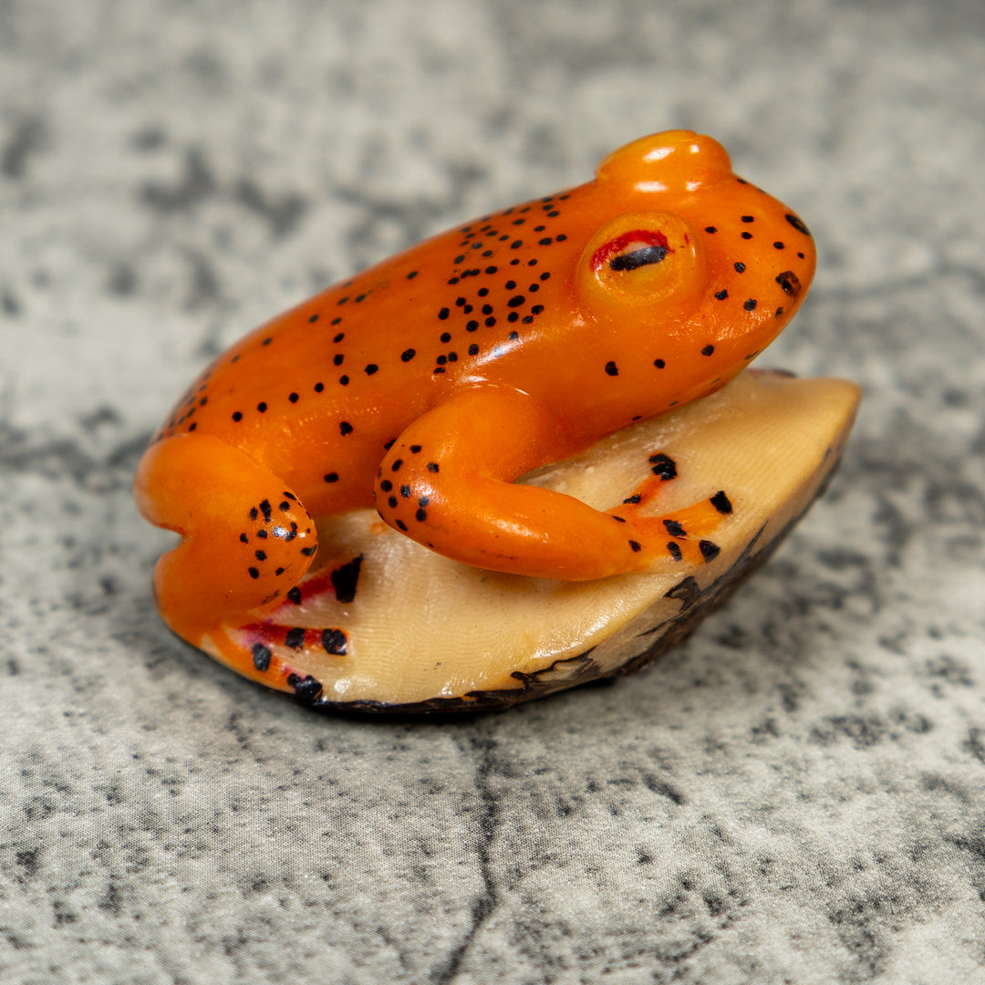 Orange And Black Frog Tagua Carving