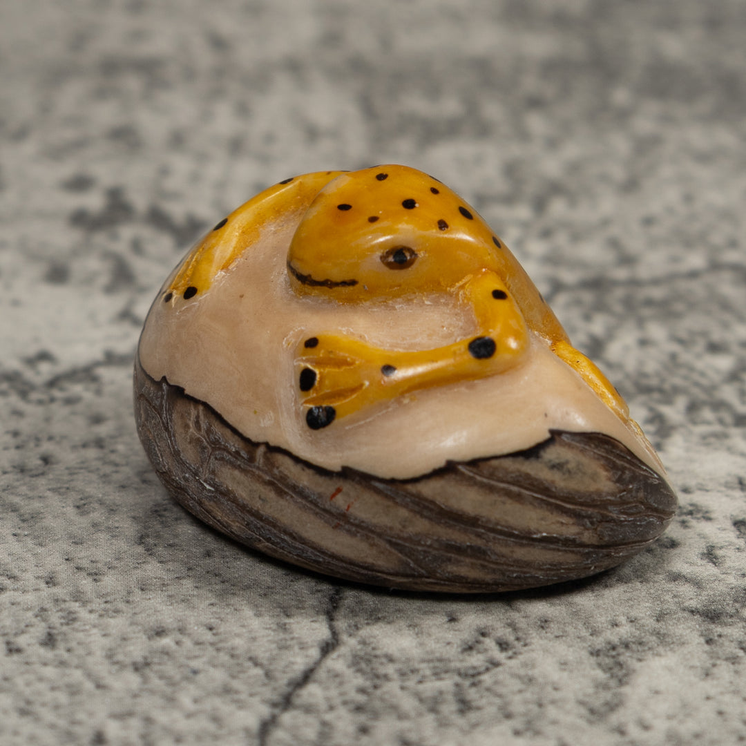 Vintage Black And Gold Frog Tagua Carving