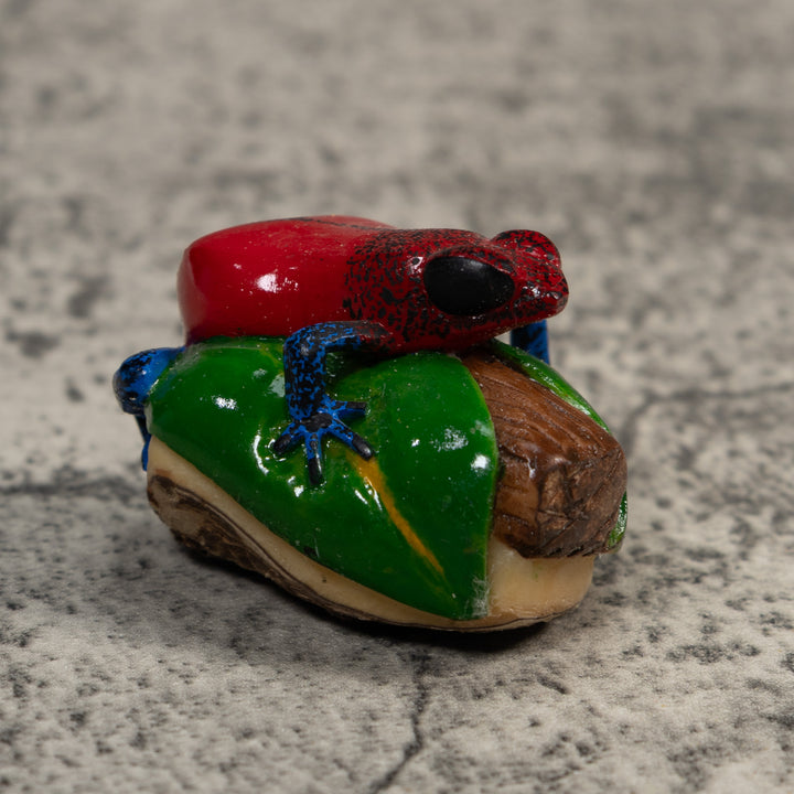 Red And Blue Poison Dart Frog Tagua Carving