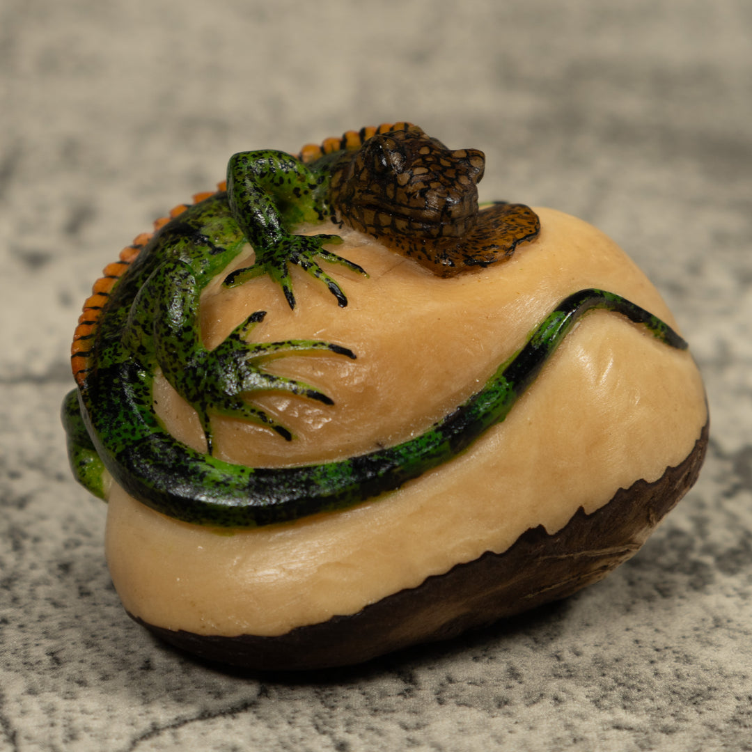 Iguana Lizard Reptile Tagua Carving