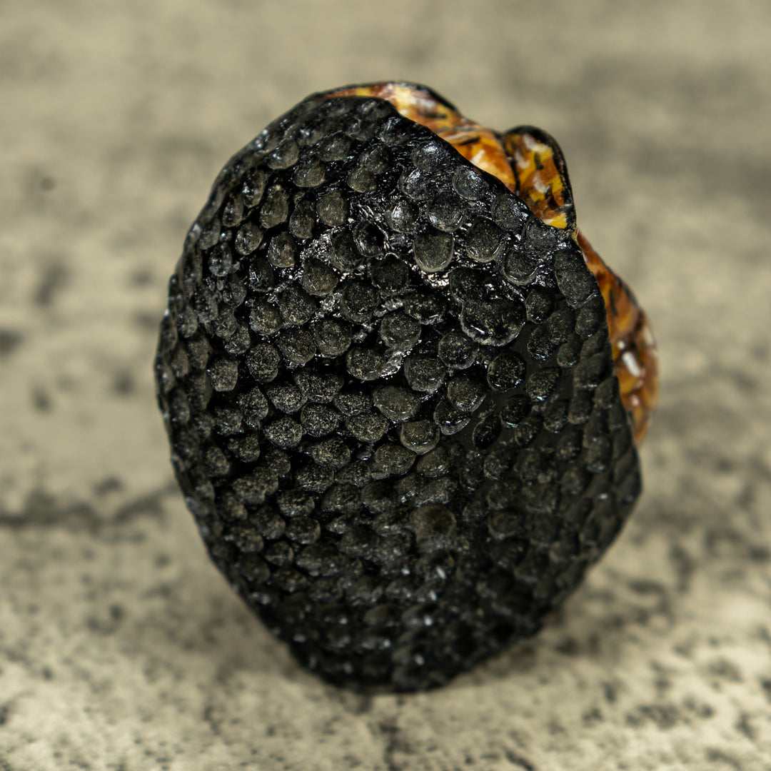 Bright Eye Owl Bird Tagua Carving