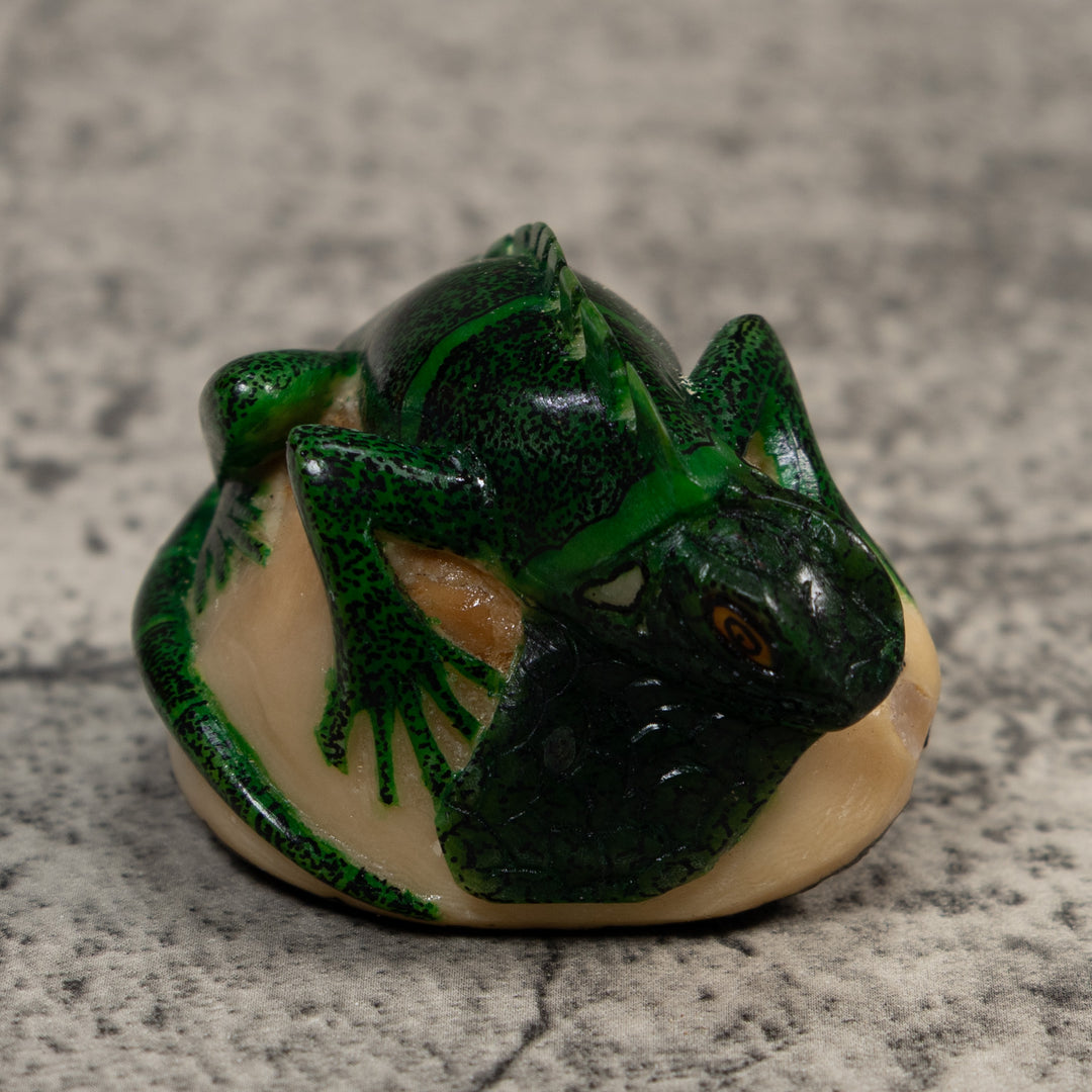 Green Iguana Lizard Iguana Tagua Carving