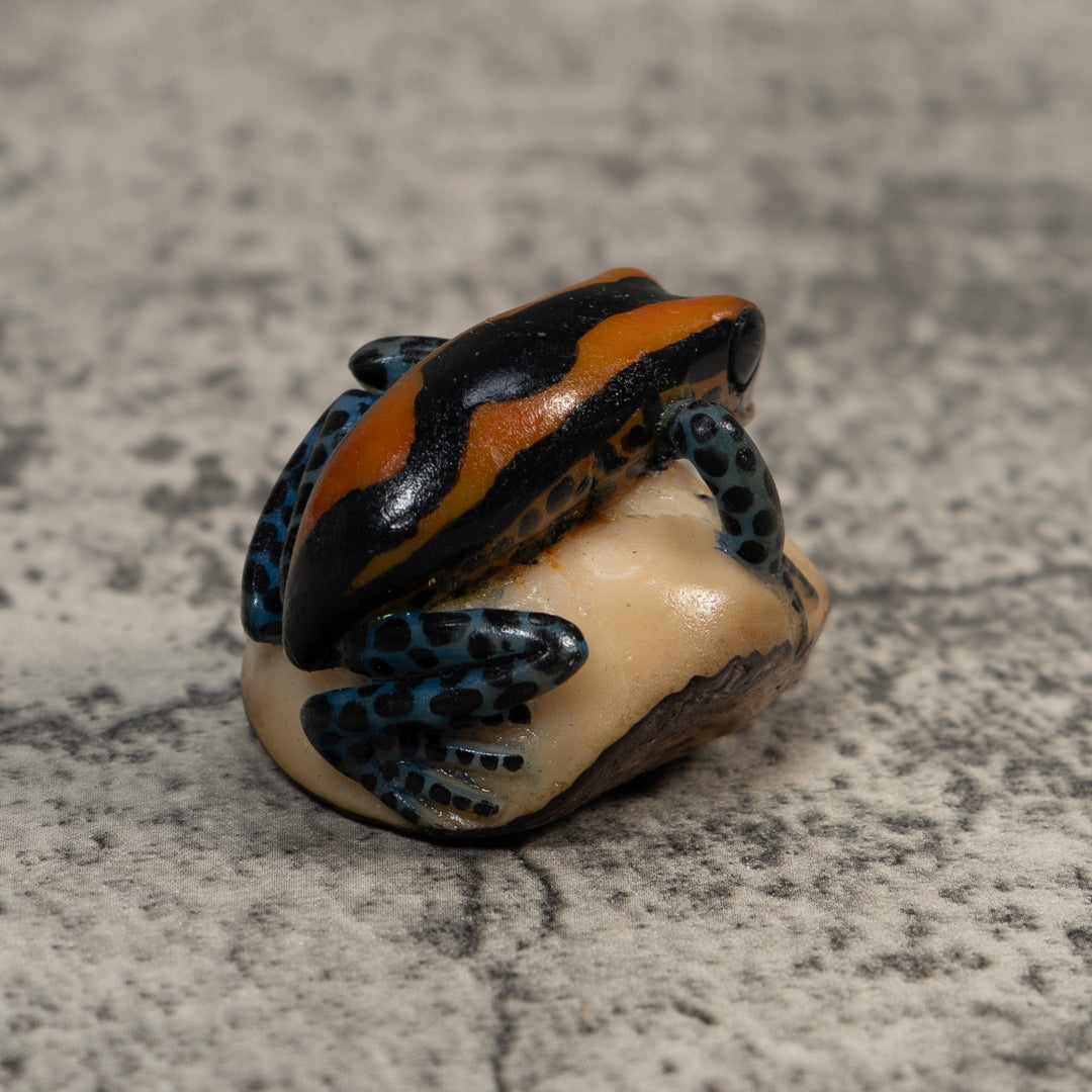 Gold And Black Poison Dart Frog Tagua Carving