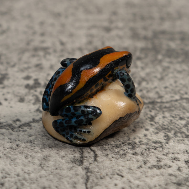 Gold And Black Poison Dart Frog Tagua Carving