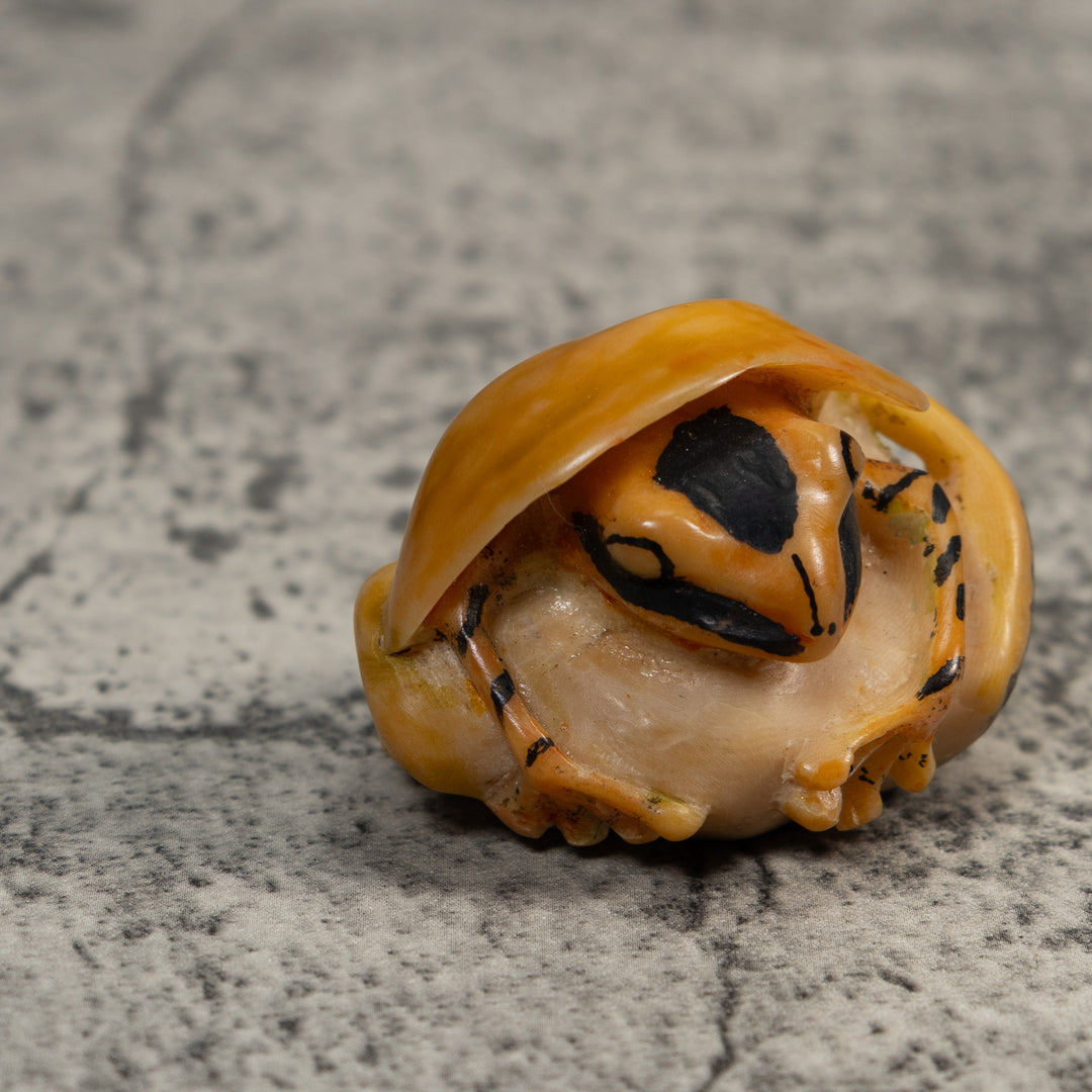 Gold And Black Poison Dart Frog Under Leaf Tagua Carving