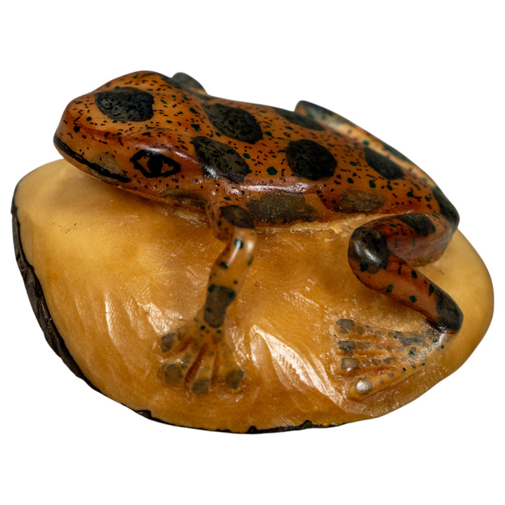 Vintage Black And Brown Poison Dart Frog Tagua Carving
