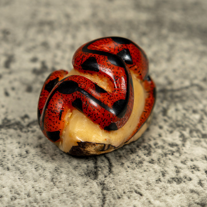 Red And Black Snake Tagua Carving