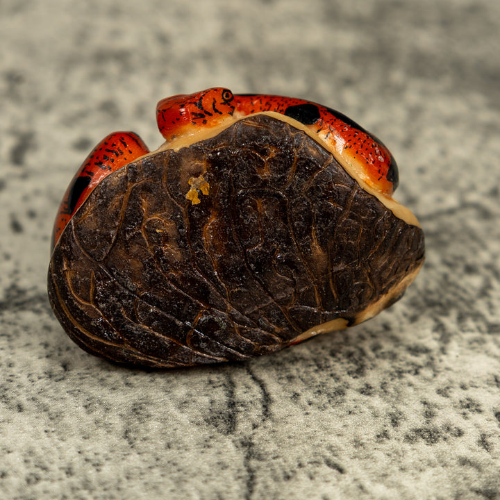 Red And Black Snake Tagua Carving