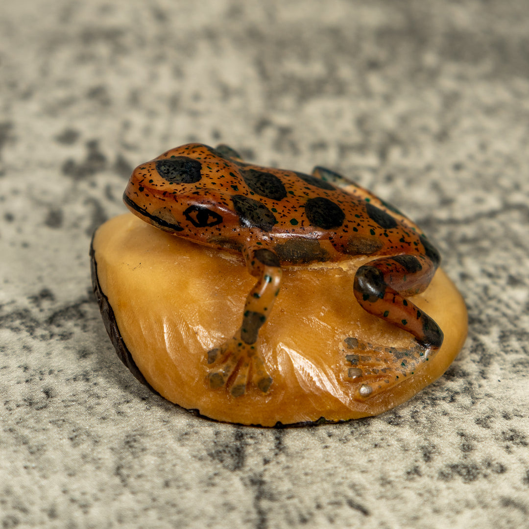 Vintage Black And Brown Poison Dart Frog Tagua Carving