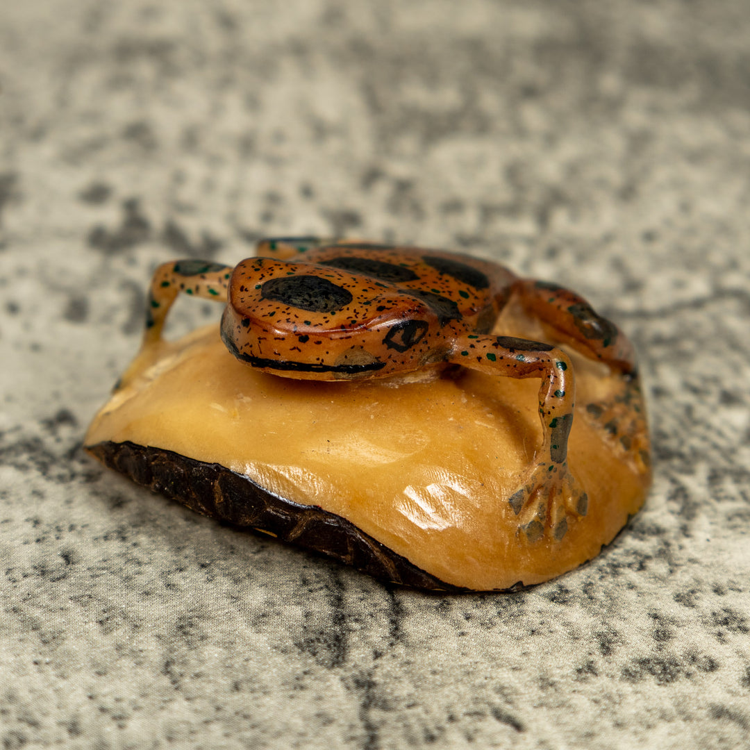 Vintage Black And Brown Poison Dart Frog Tagua Carving