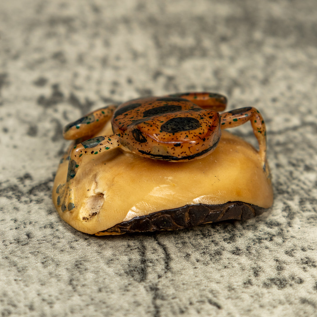 Vintage Black And Brown Poison Dart Frog Tagua Carving