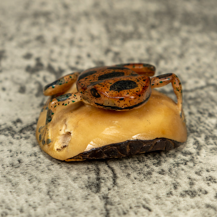 Vintage Black And Brown Poison Dart Frog Tagua Carving