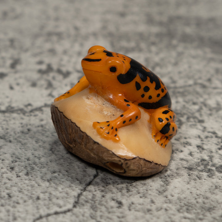 Black And Gold Poison Dart Frog Tagua Carving