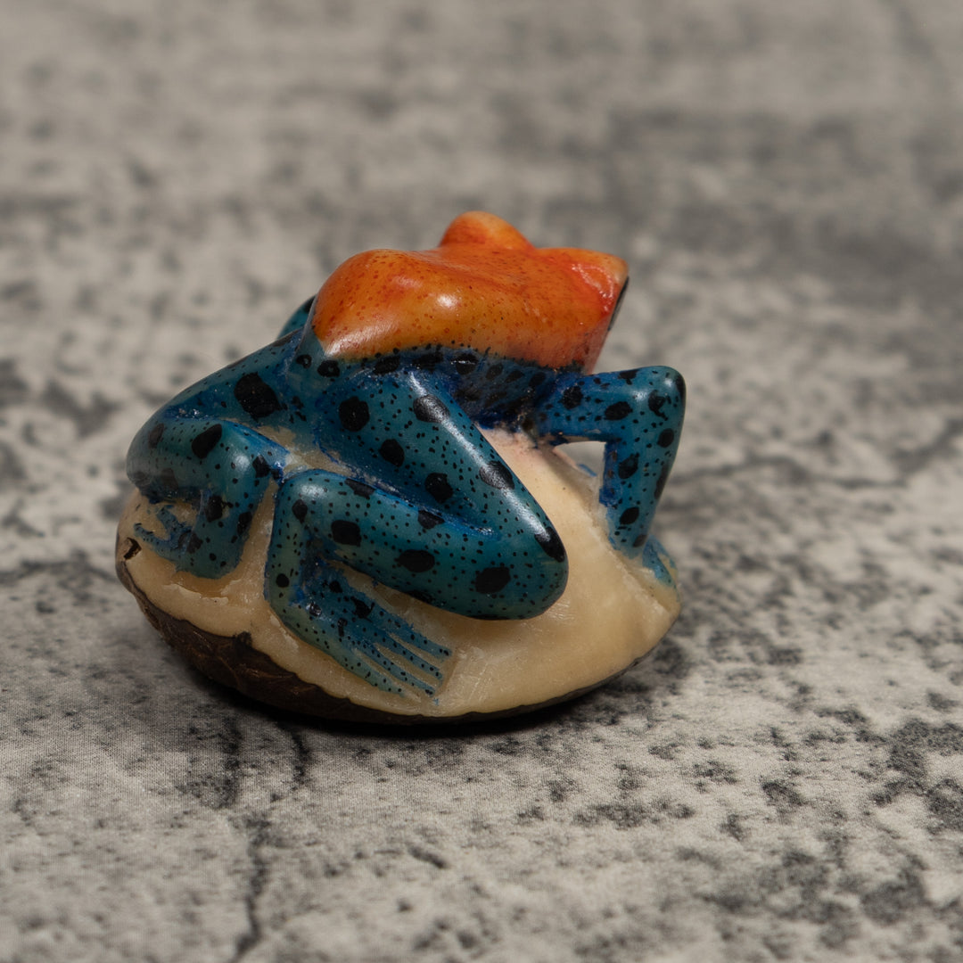 Poison Dart Frog Tagua Carving