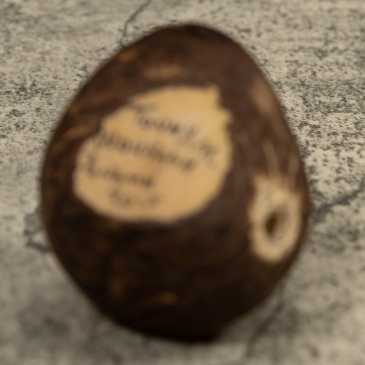 Iguana Lizard Reptile Tagua Carving