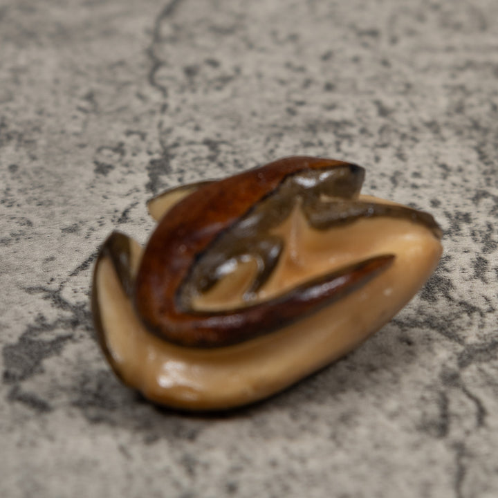 Vintage Brown And Black Frog Tagua Carving