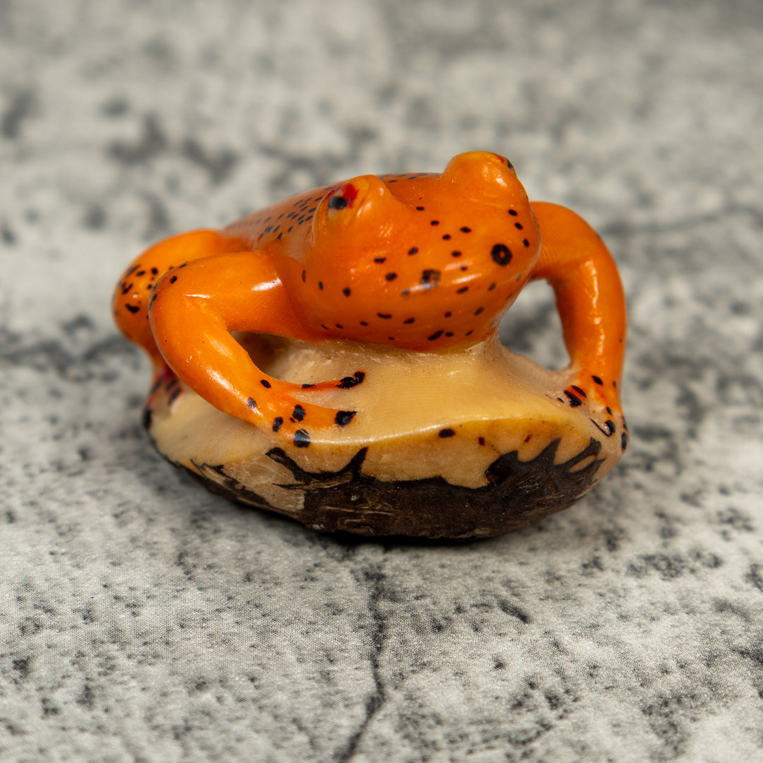 Orange And Black Frog Tagua Carving