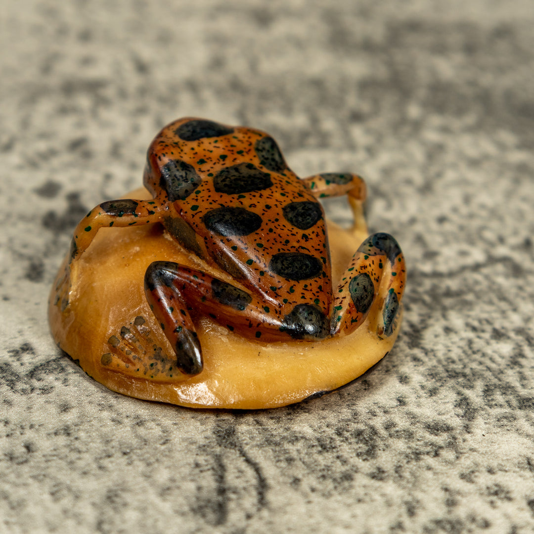 Vintage Black And Brown Poison Dart Frog Tagua Carving
