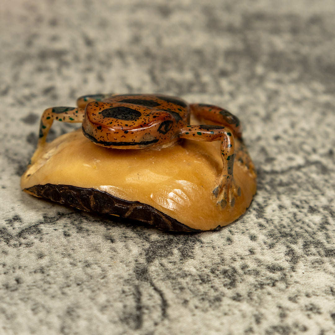 Vintage Black And Brown Poison Dart Frog Tagua Carving