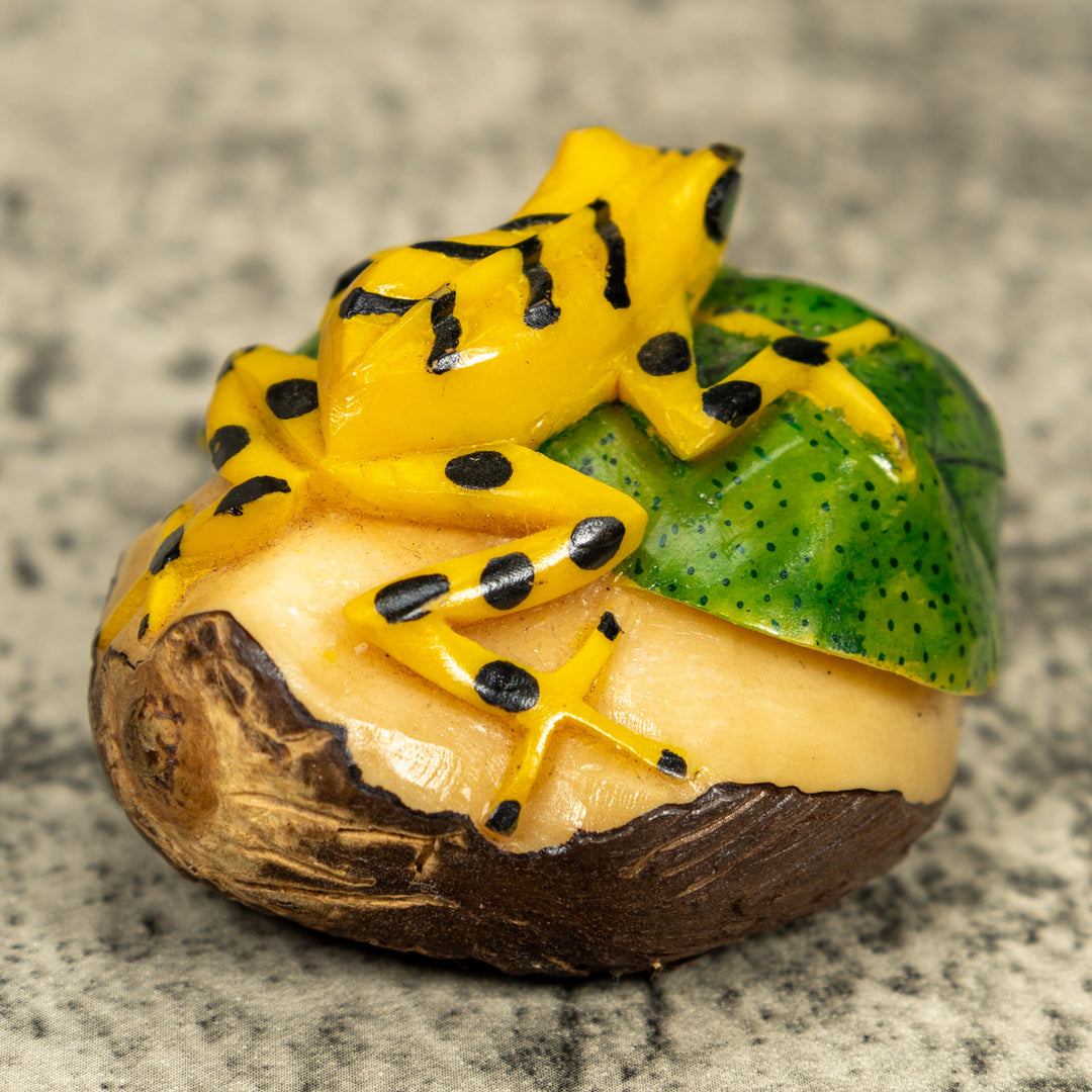 Golden Frog On Leaf Frog Tagua Carving
