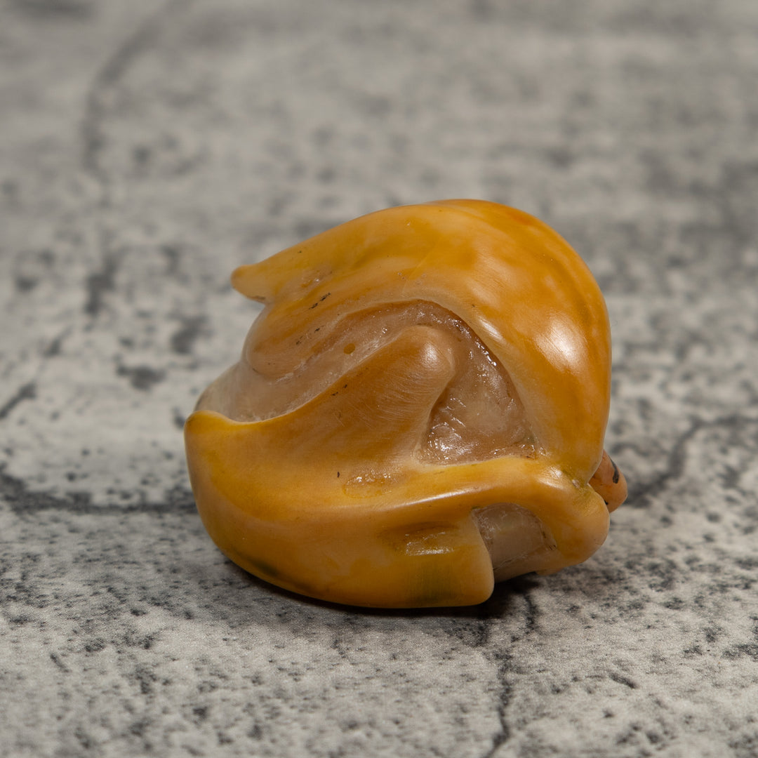 Gold And Black Poison Dart Frog Under Leaf Tagua Carving