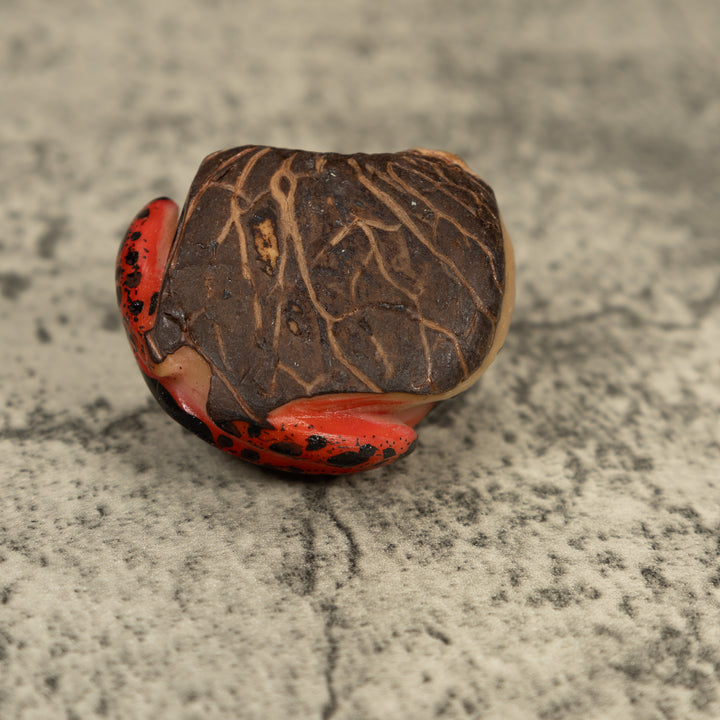 Vintage Orange And Black Poison Dart Frog Tagua Carving
