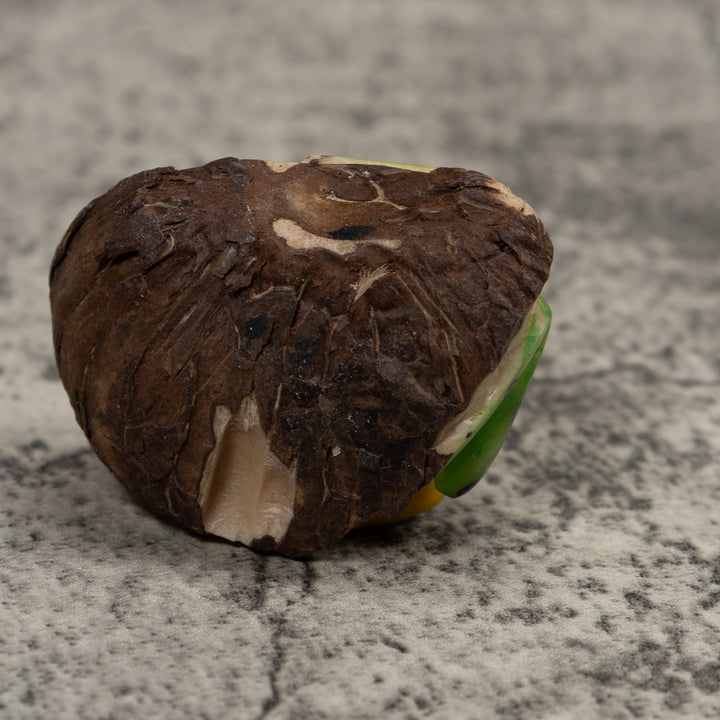 Poison Dart Frog Tagua Carving