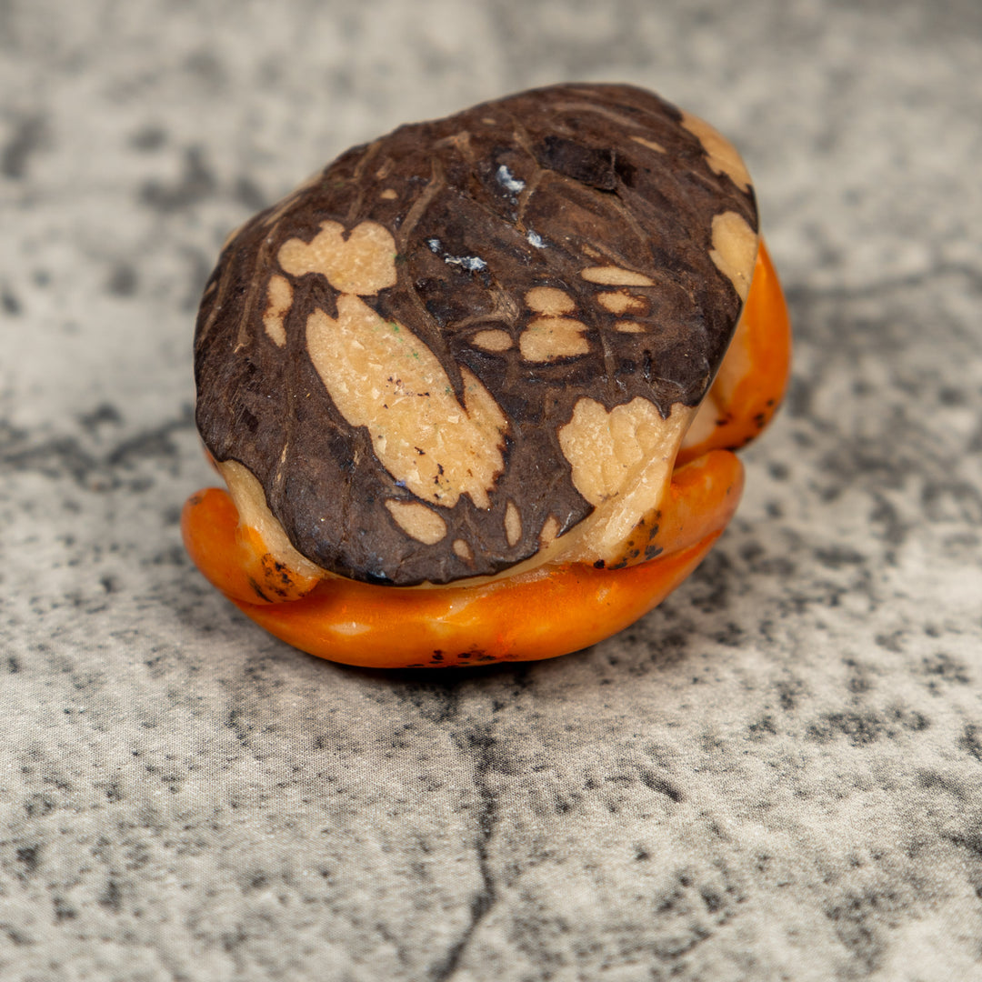 Orange And Black Frog Tagua Carving